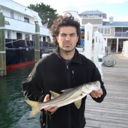 Florida Tarpon Fishing Charters