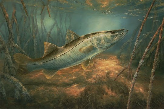 Florida Tarpon Fishing Charters