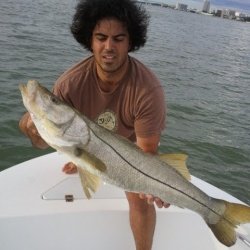 Boca Grande Florida Tarpon Fishing Charters